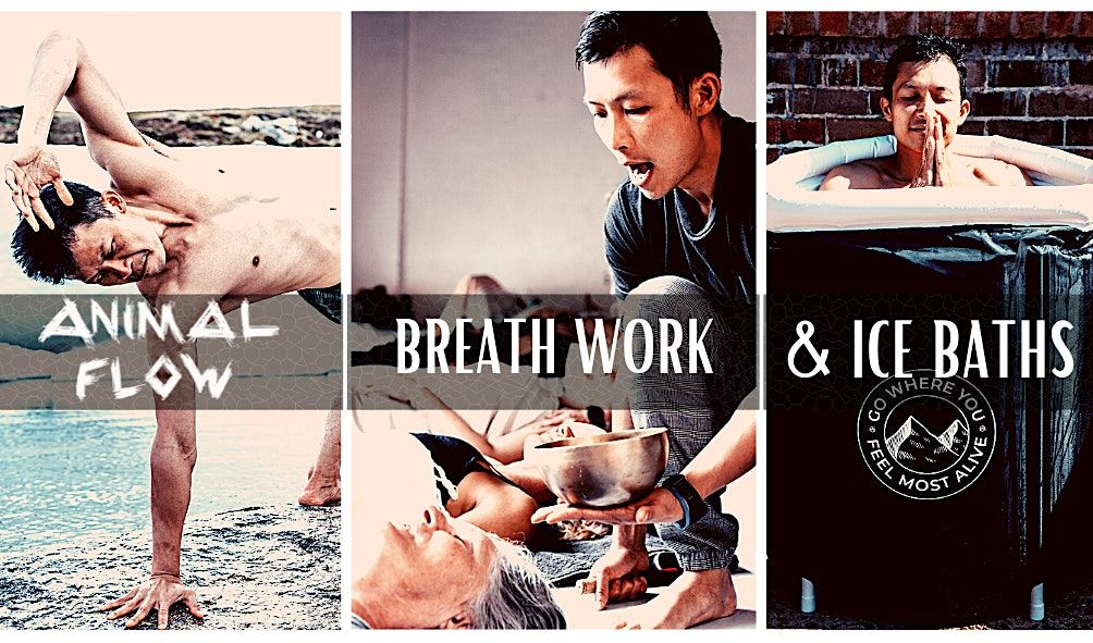 Animal Flow + Breathwork + Ice Baths - BONDI