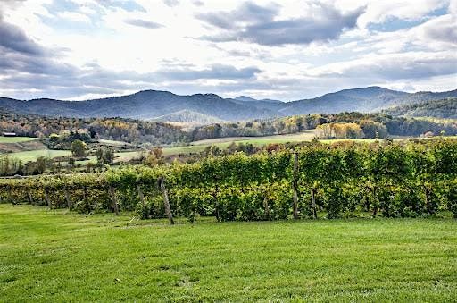 Virginia Wine Country Tour