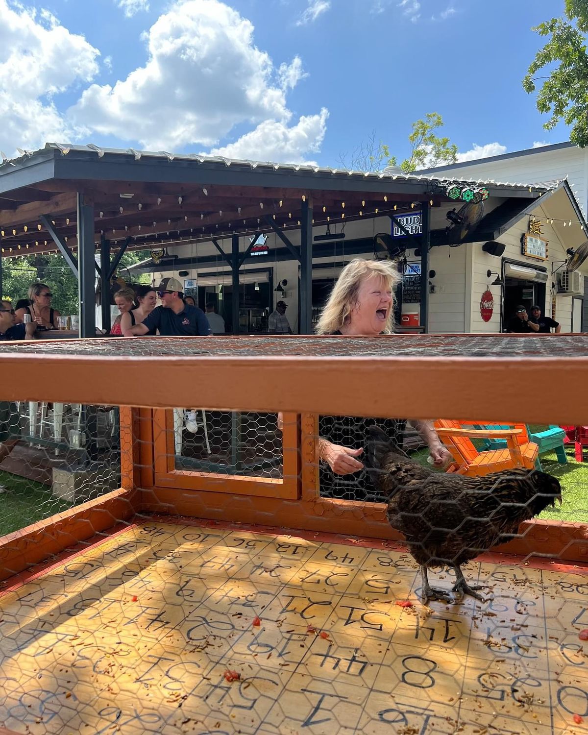 Chicken Poop Bingo