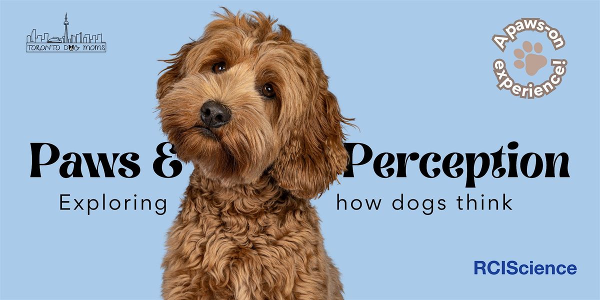 Paws and Perception: Exploring How Dogs Think