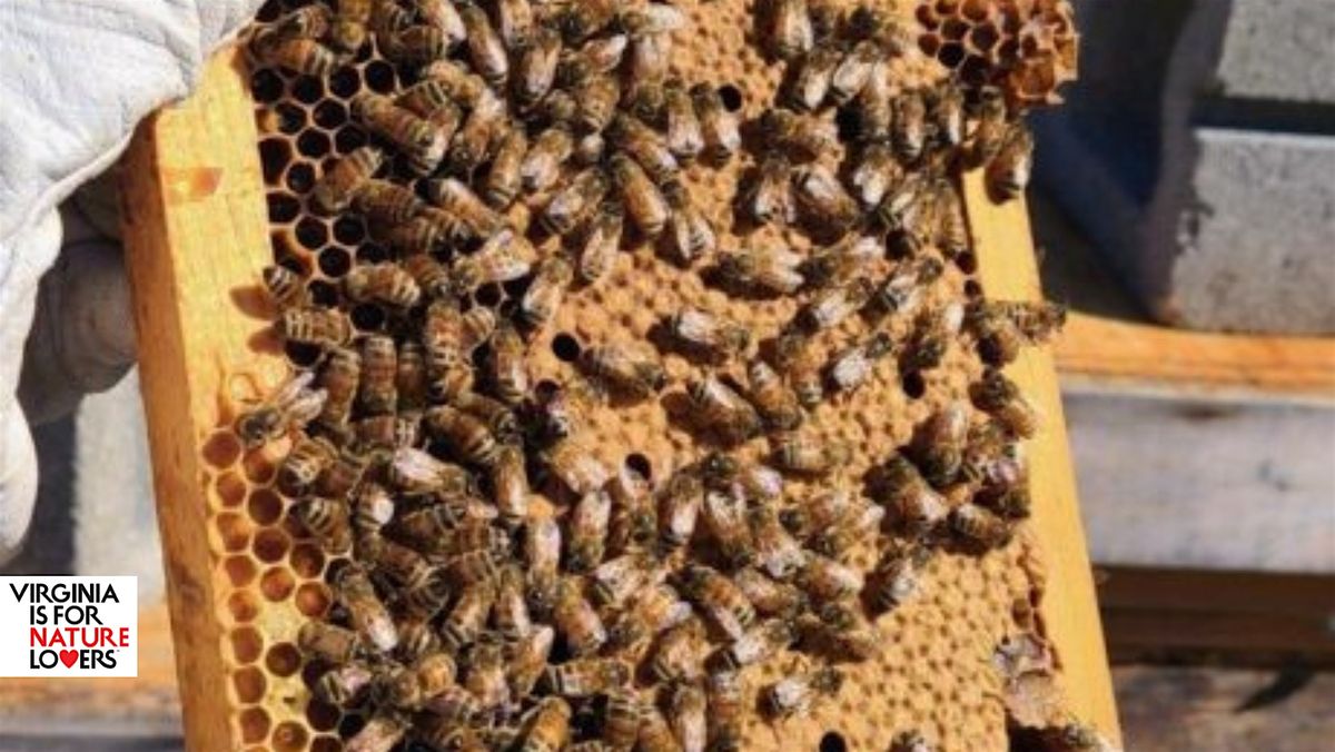 Bee-utiful Experience: The Beekeeper\u2019s Tour