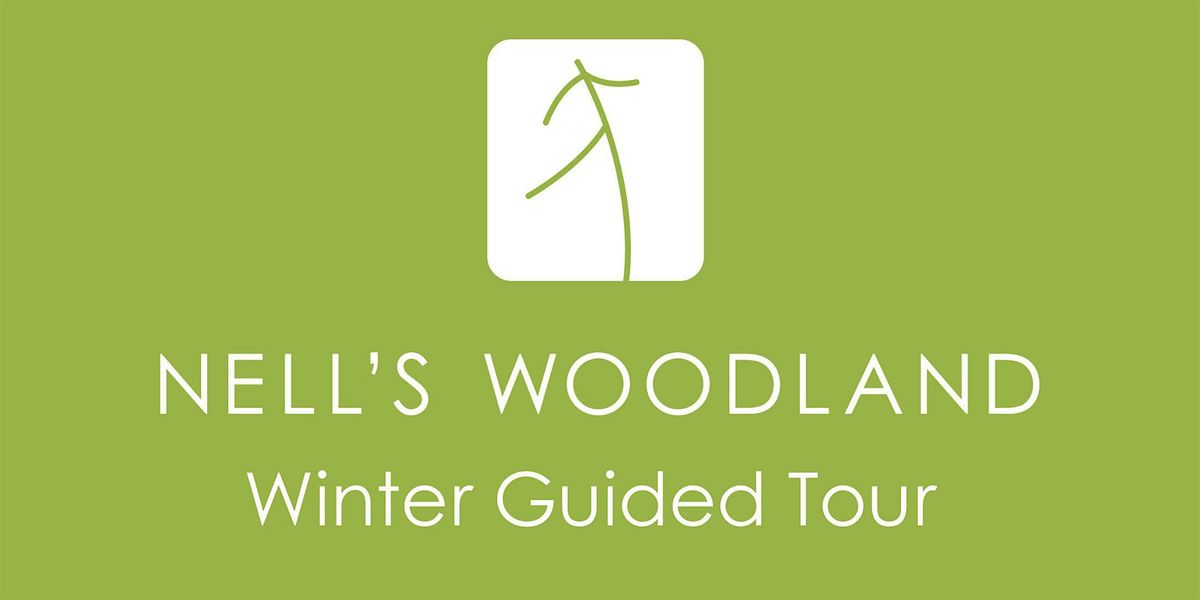 Nell's Woodland Winter Hike with Joe Jakupcak