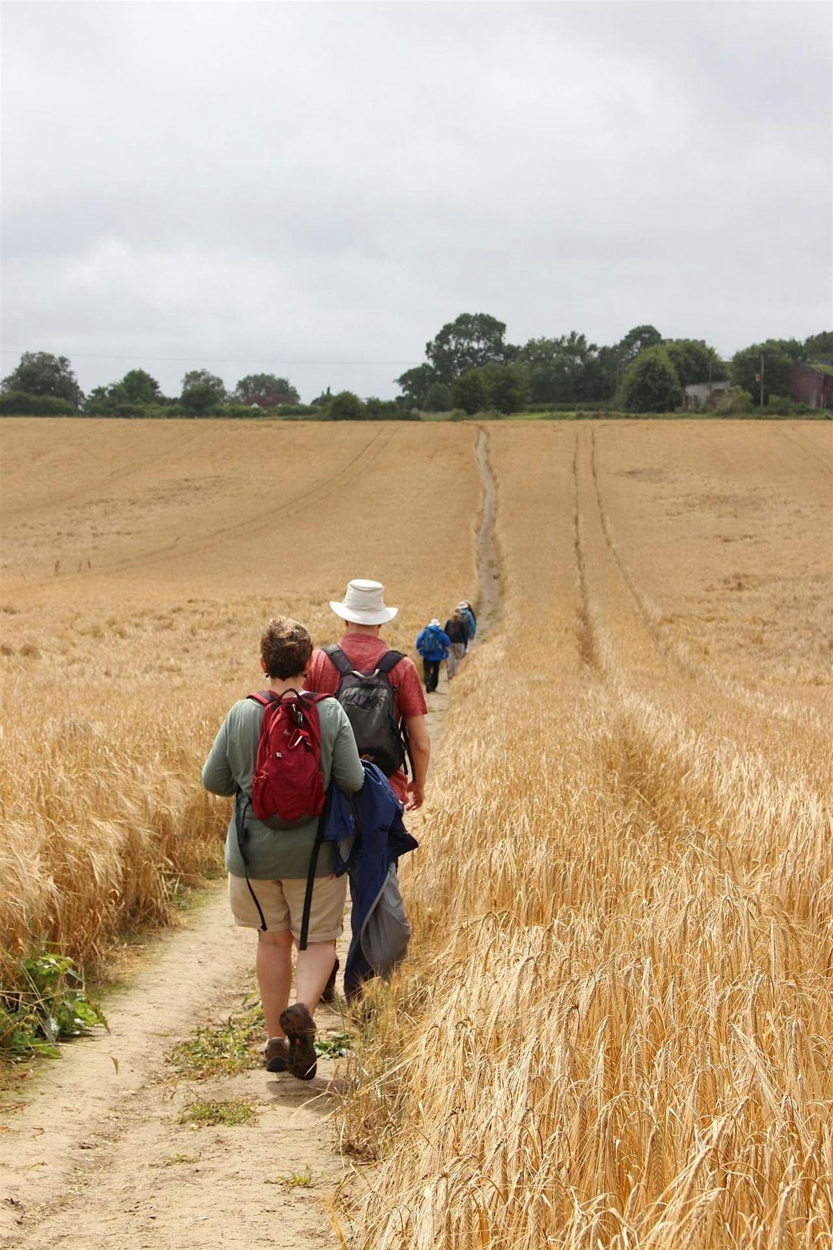 Journeying Together