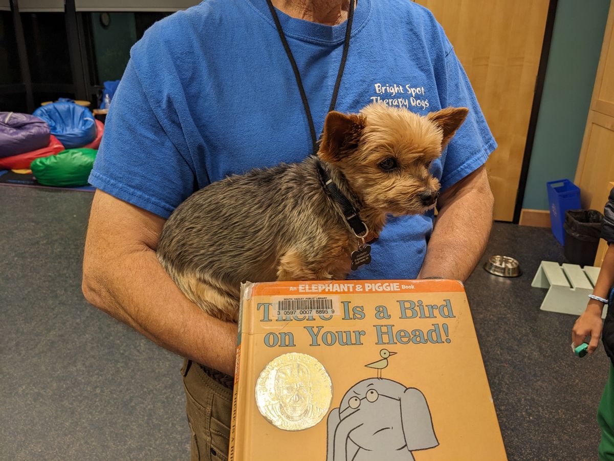 Read to a Dog