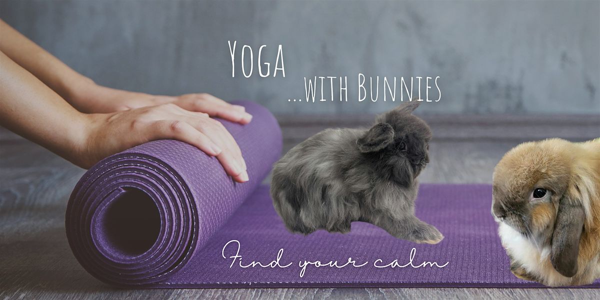 Nov. 11th Candlelight Bunny Yoga with Victoria