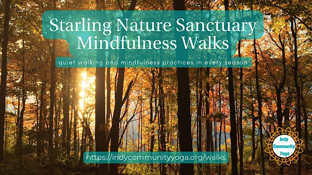 Mindful Nature Walks - Scott Starling Nature Sanctuary