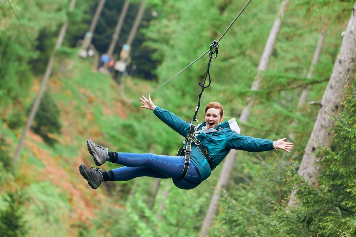 Youth Alive Fellowship Yaf Social Go Ape Adventure Day Out Go Ape Crawley Treetop Adventure Forest Segways Zip Lines High Ropes 13 November 21