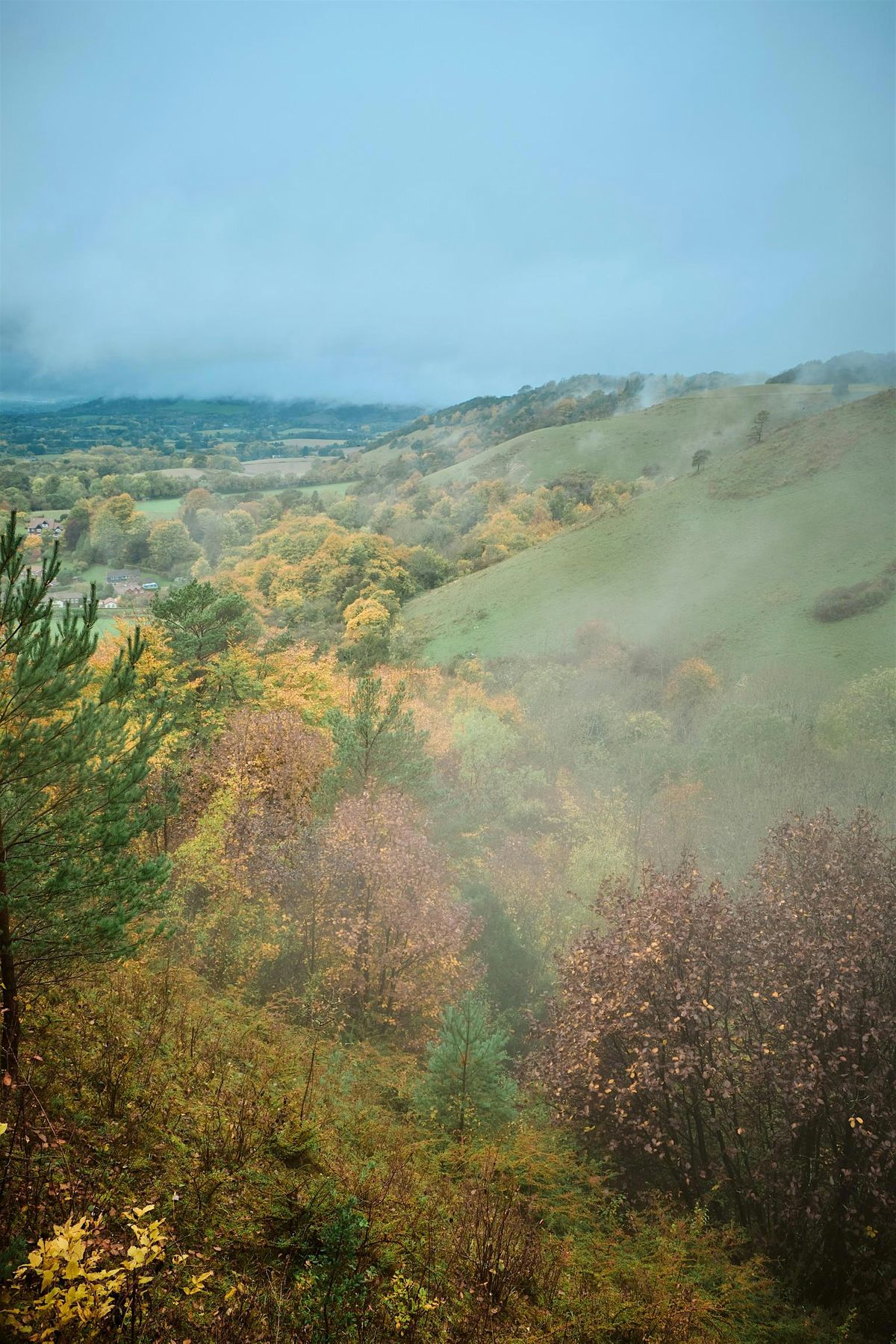 Trek\/Fit Beginner Hikes: Banstead Common and Reigate