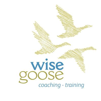 Wise Goose Limited