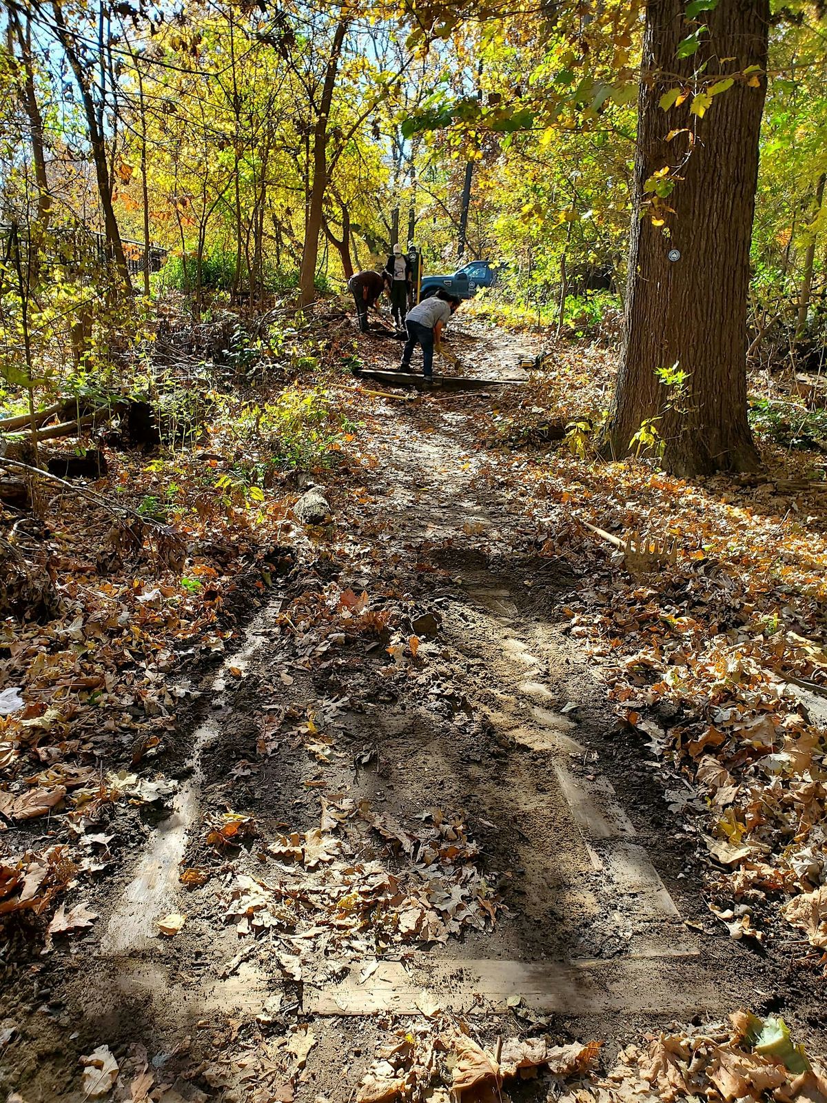 Bronx River Park Super Steward: Trail Maintainer Training