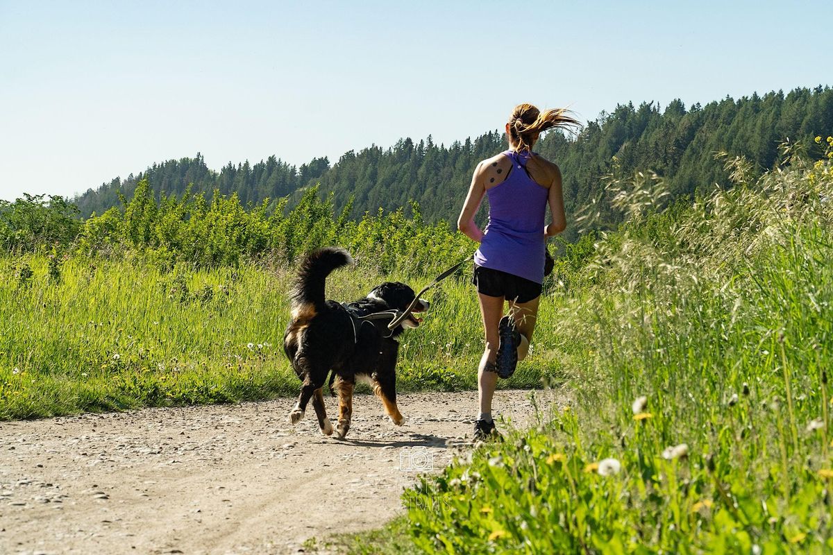 Zulu K9 Challenge Calgary 2023, Edworthy Park, Calgary, 8 July 2023