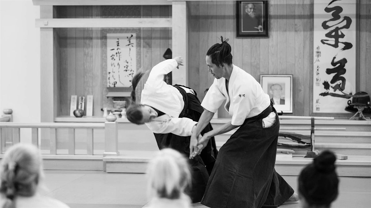 Aikido Introductory Series