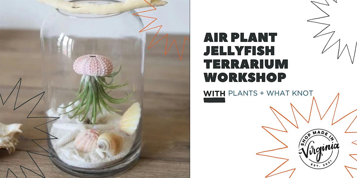 Air plant Jellyfish Terrarium Workshop w\/Plants + What Knot