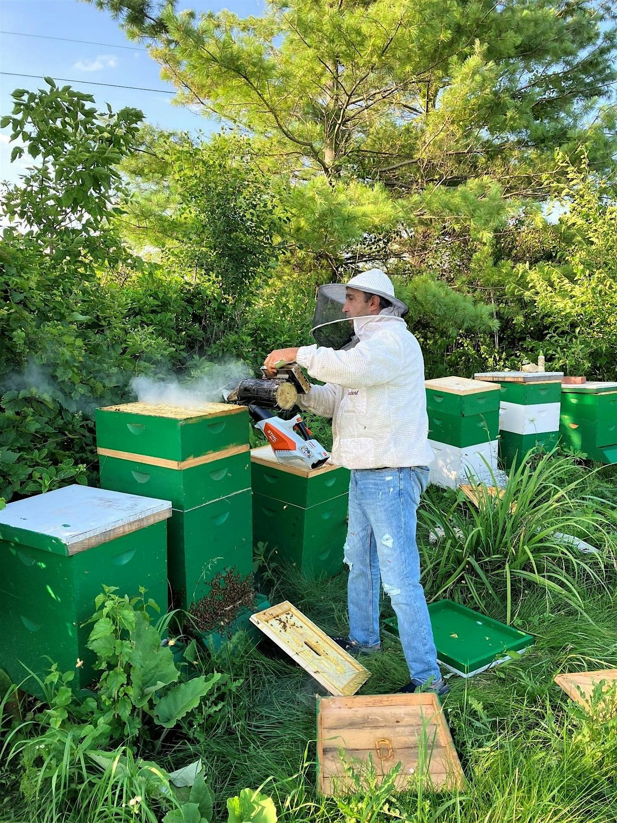 Backyard Beekeeping: Part 2