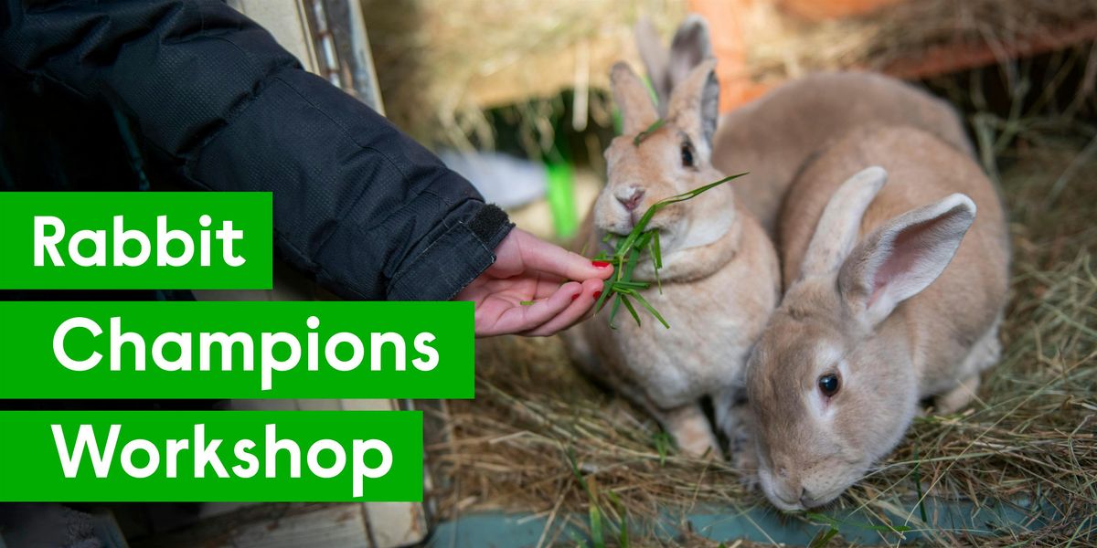 Rabbit Champions Workshop - Love's Farm House, St Neots