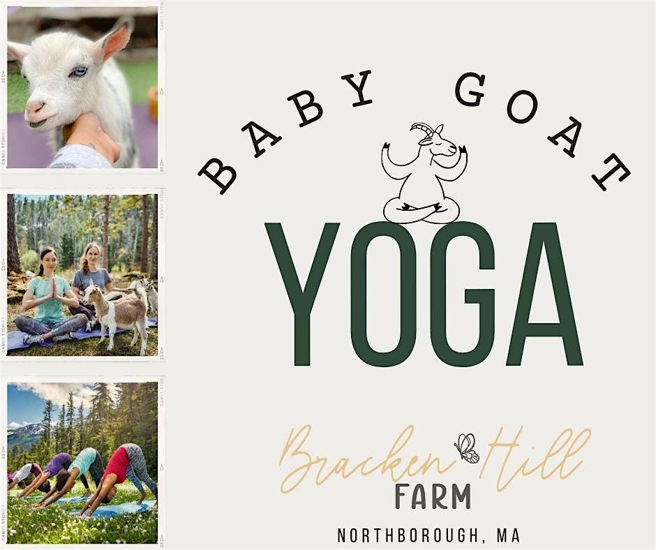 Yoga with Baby Goats