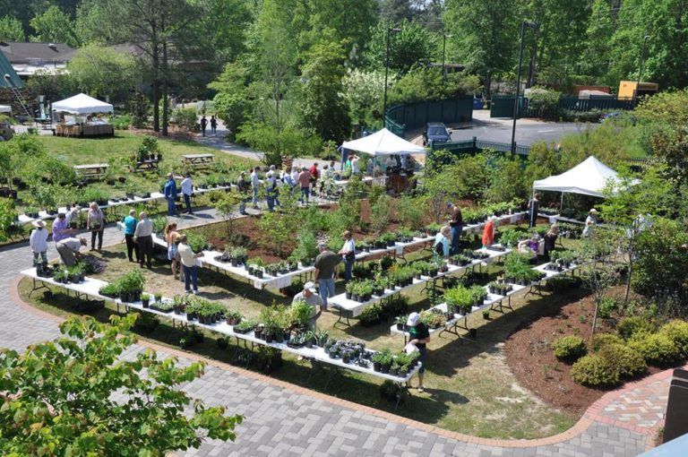 VLM\u2019s Native Plant Sale