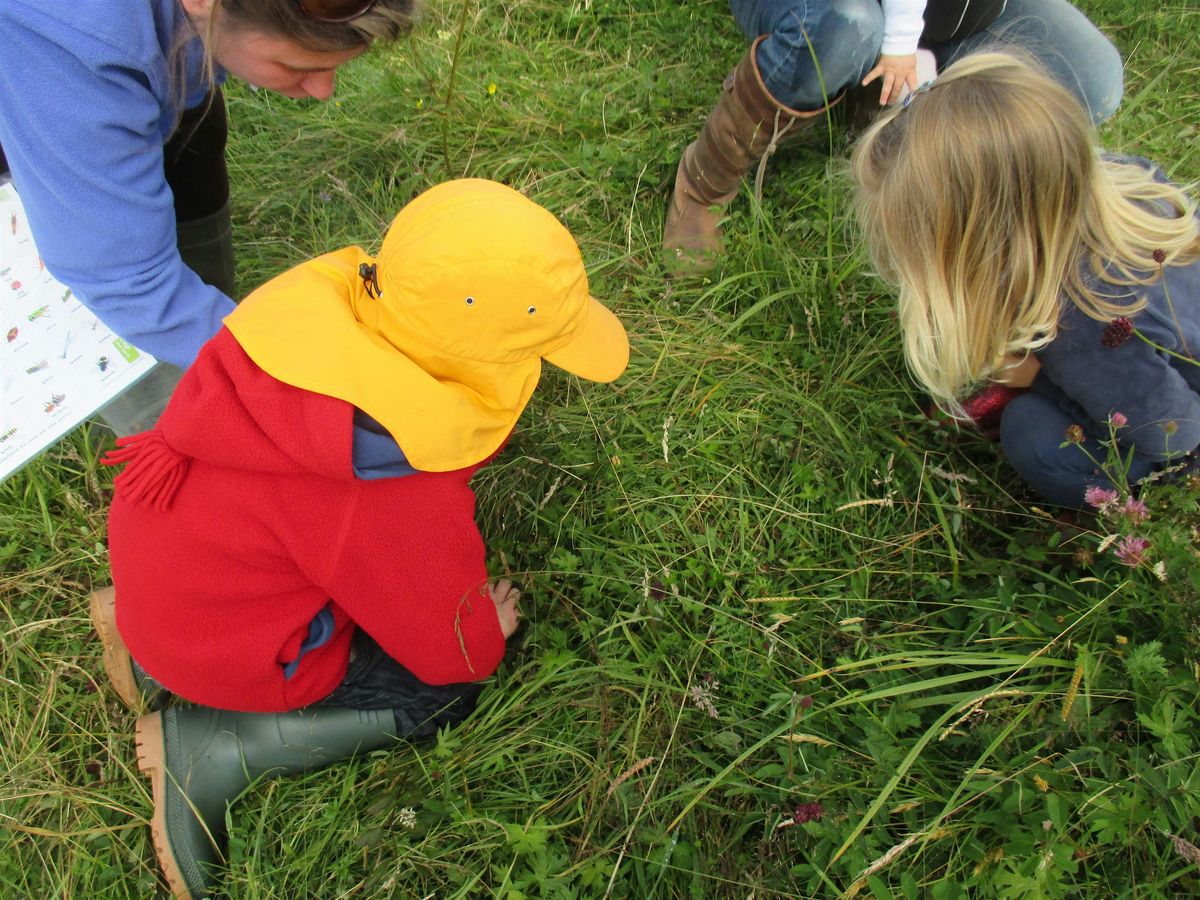 Nature Tots - Windsor Great Park, Friday 14 March