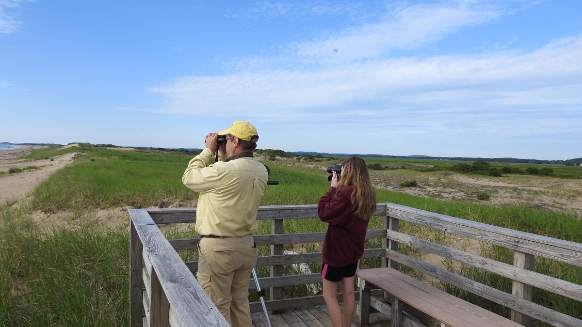 Bird Watching Excursion on Plum Island from Boston, Transportation Included!