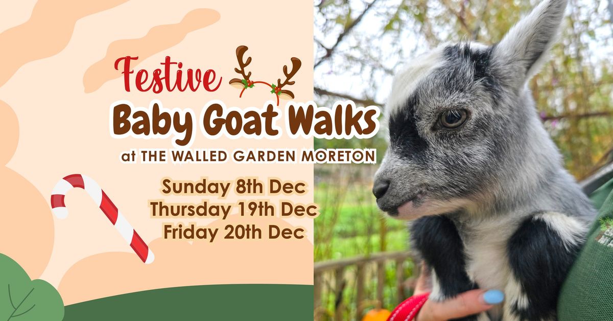 Baby Goat Walks at The Walled Garden