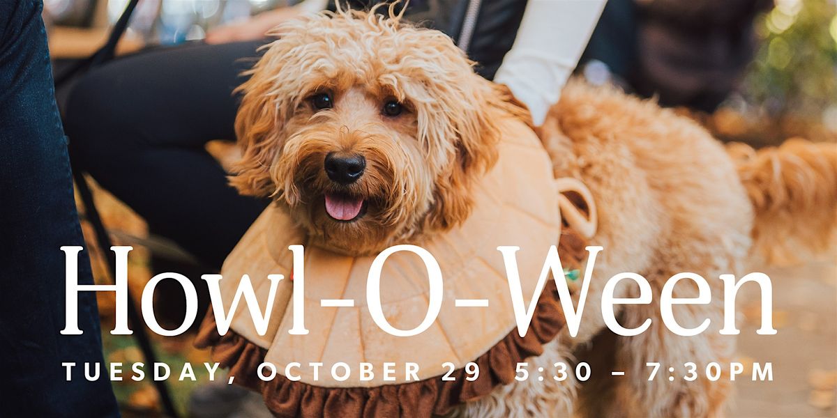 Howl-O-Ween Yappy Hour with Small Door Vet at Other Half Brewing