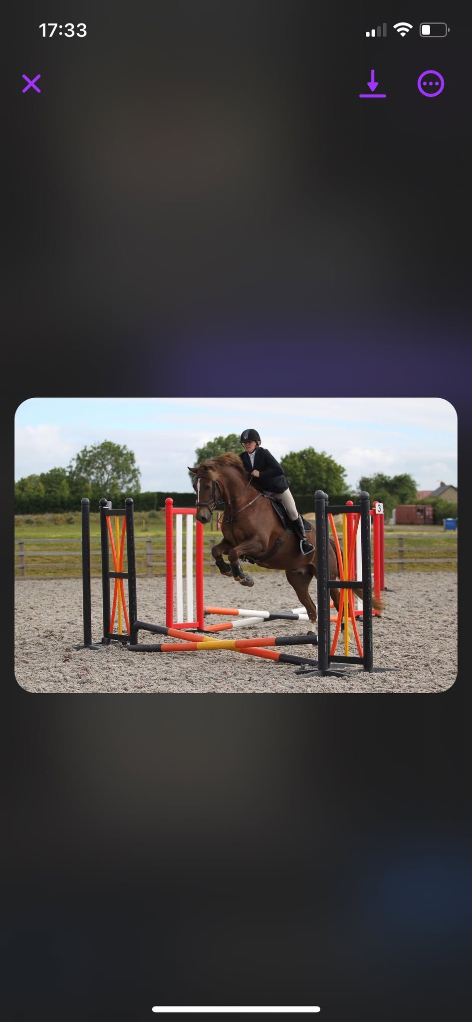 Unaffiliated Dressage and showjumping 