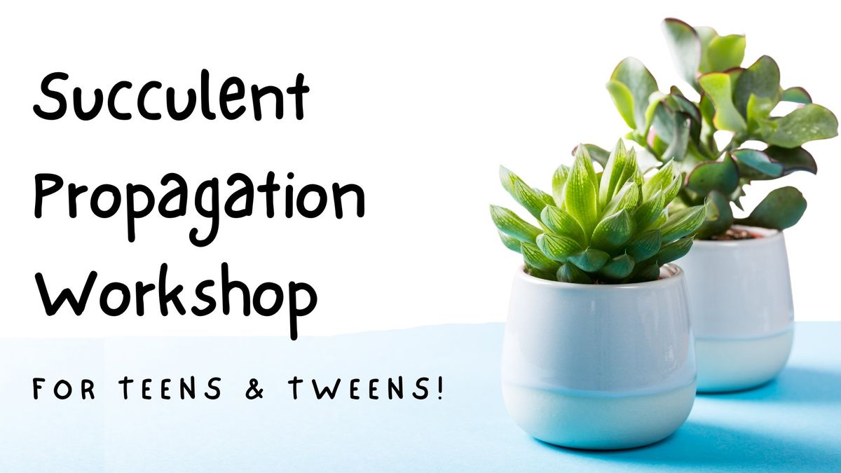 Succulent Propagation Workshop for Teens and Tweens!