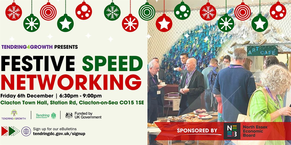 Festive Speed Networking