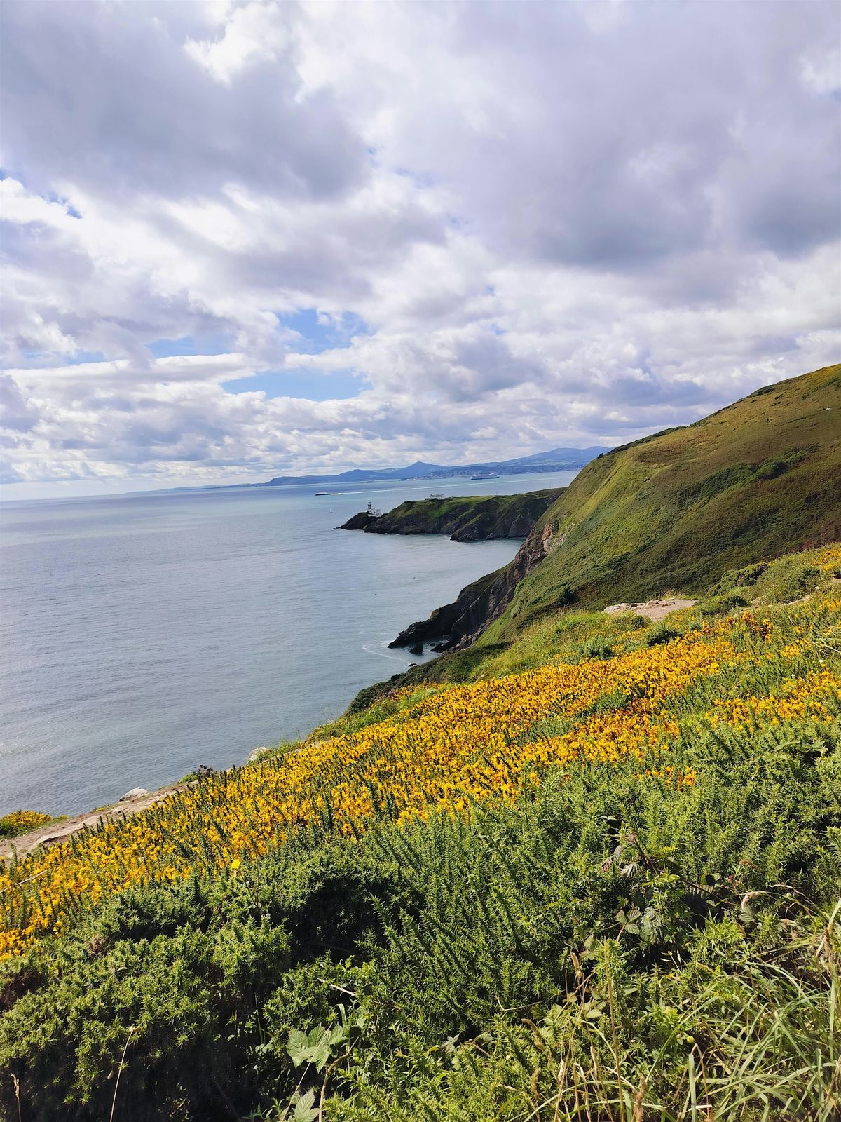 Howth and Bailey Lighthouse Loop