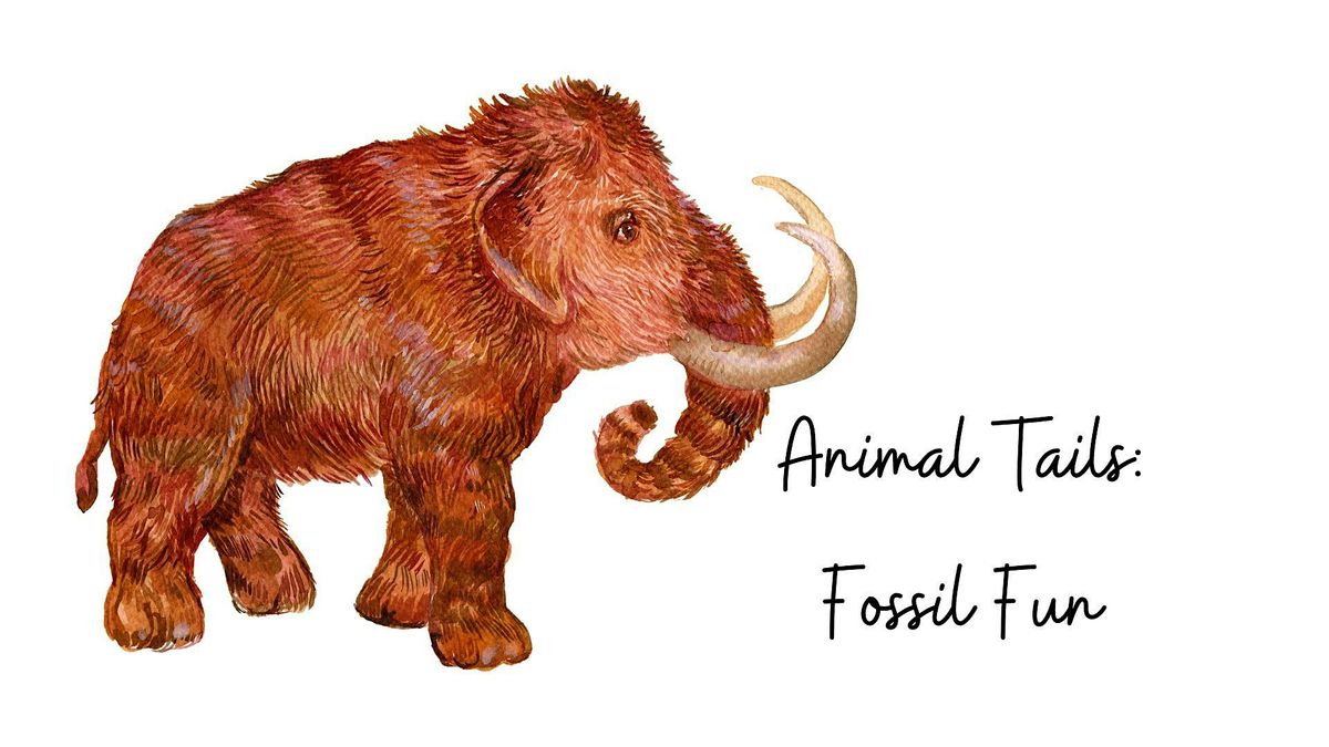 Animal Tails: Fossil Fun