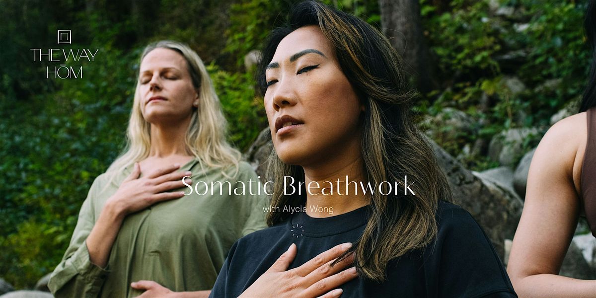 Power Hour: Somatic Breathwork for Nervous System and Emotional Regulation