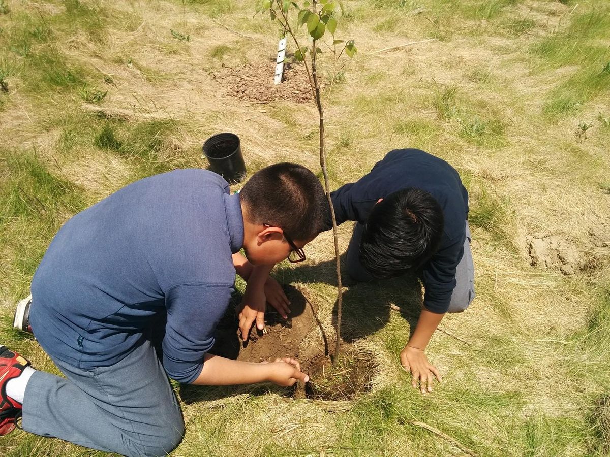 Downsview Park Nature Connection:  Tree Planting