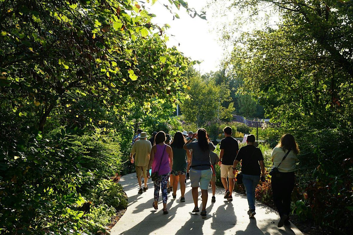 Cherry Street Neighborhood Tree Walk