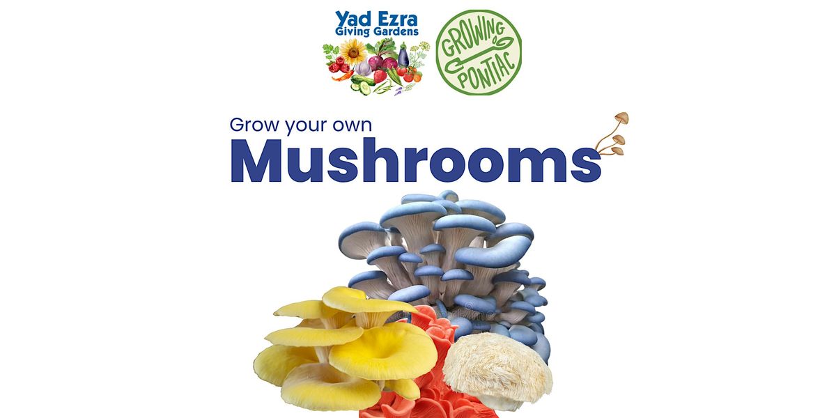 Grow Your Own Mushrooms Workshop