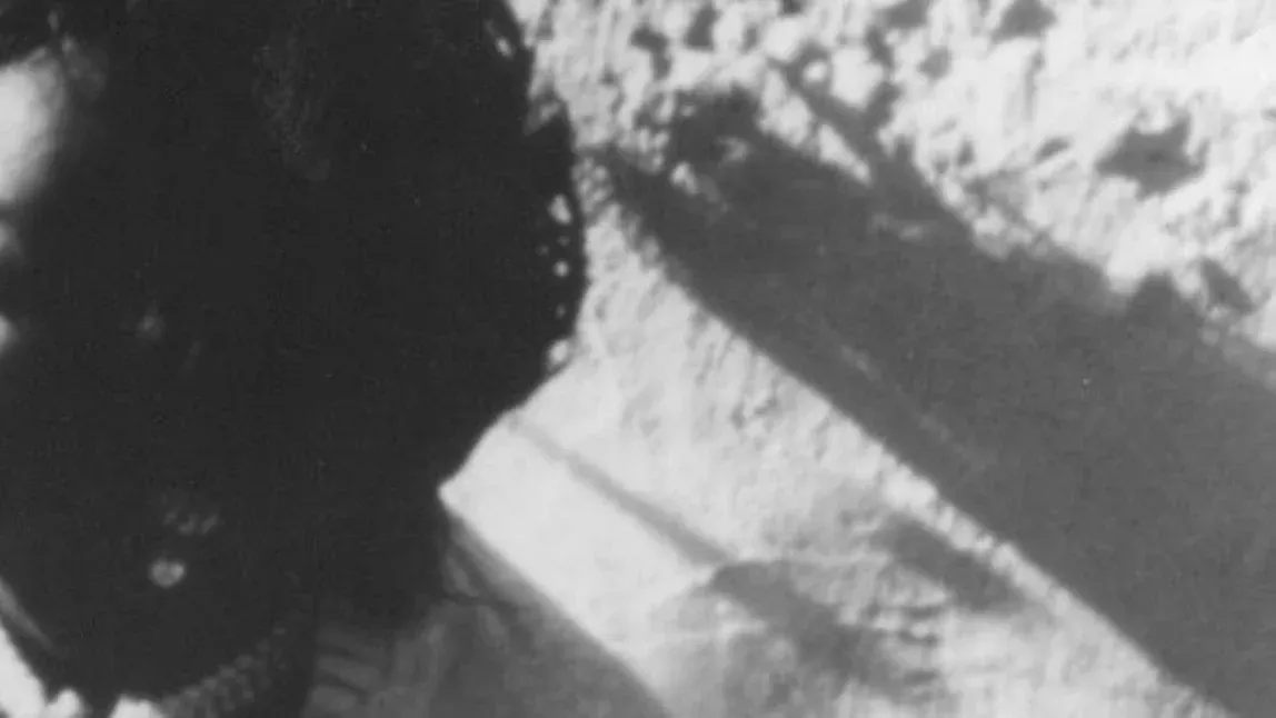 Dawn Penn, Eek-A-Mouse, Kiko Bun, Tippa Irie, Laid Blak in Bristol