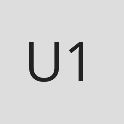 UNWLA (Ukrainian National Women's League of America - Branch 107)
