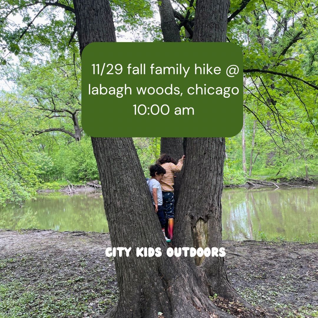 Fall Family Hike #optoutside on Black Friday