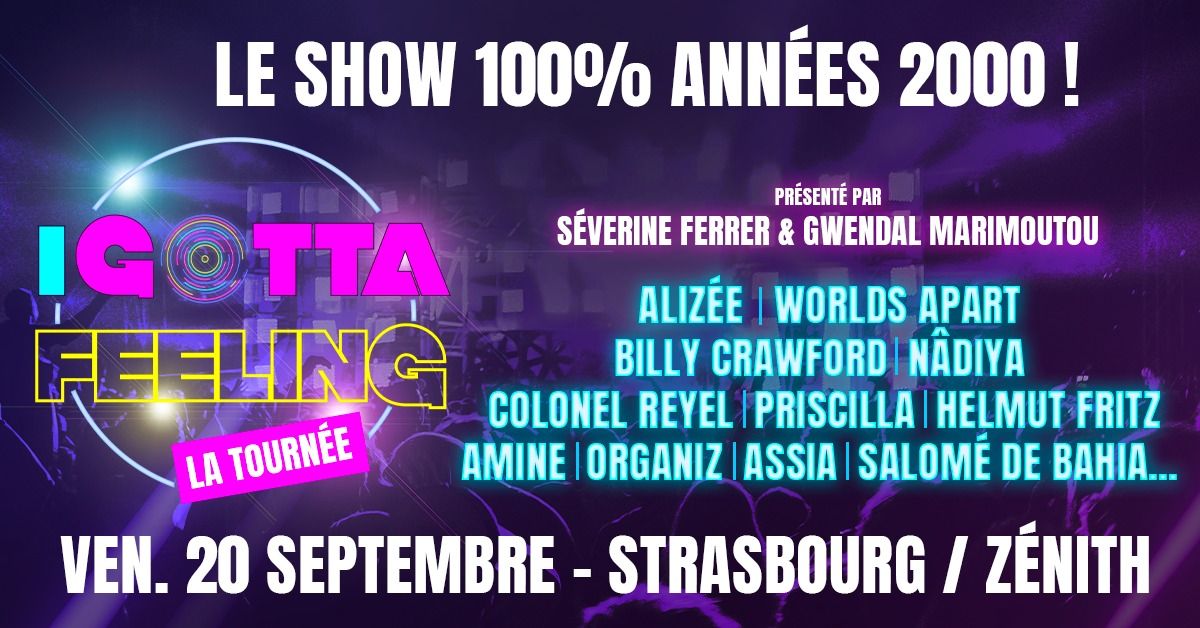 I GOTTA FEELING \/ STRASBOURG