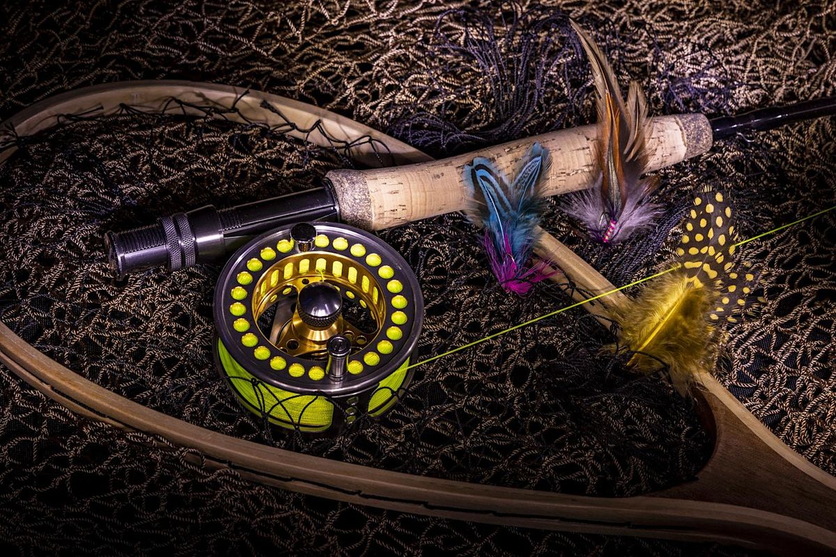 Creative Still-Life Photography (Light Painting)