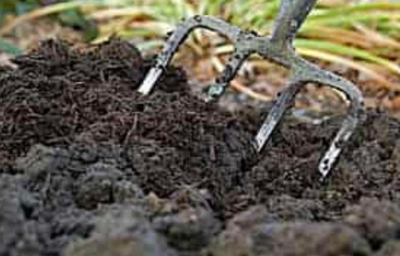 Home Composting Basics with John Zarola