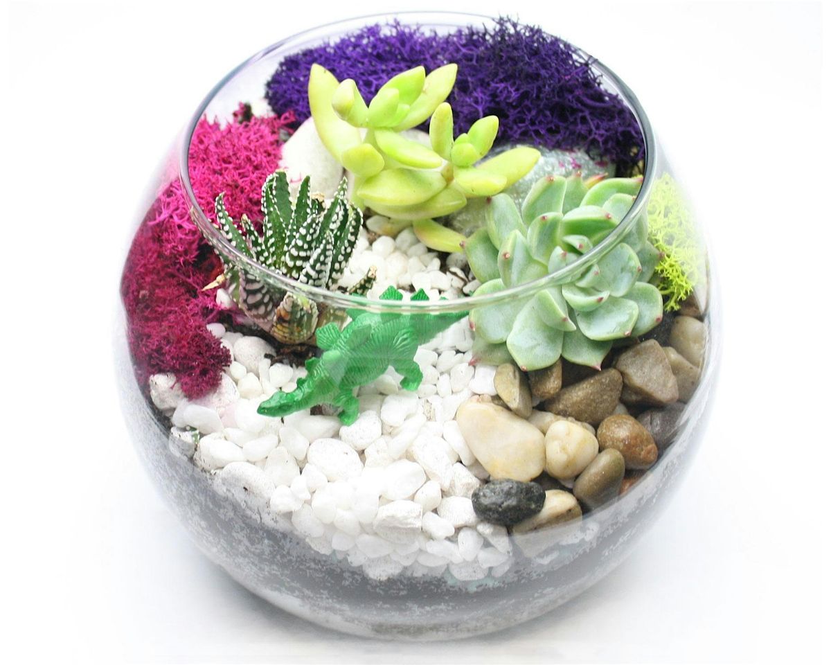 Family Plant Party: Make a Succulent Terrarium