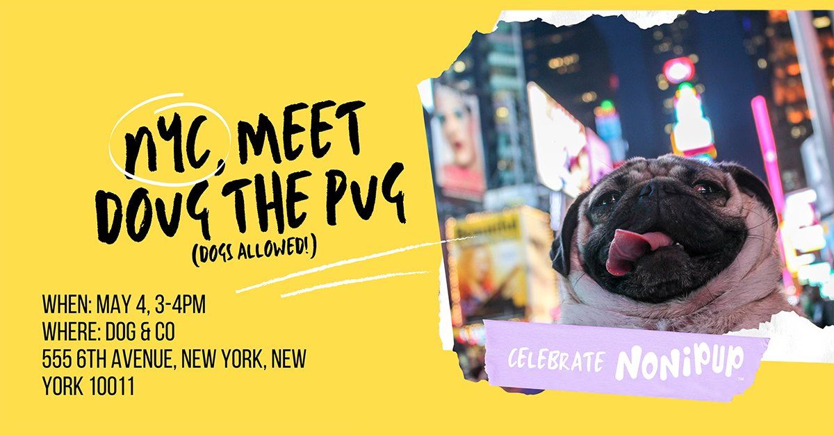 Meet Doug The Pug in NYC (dogs allowed) and celebrate Nonipup! 