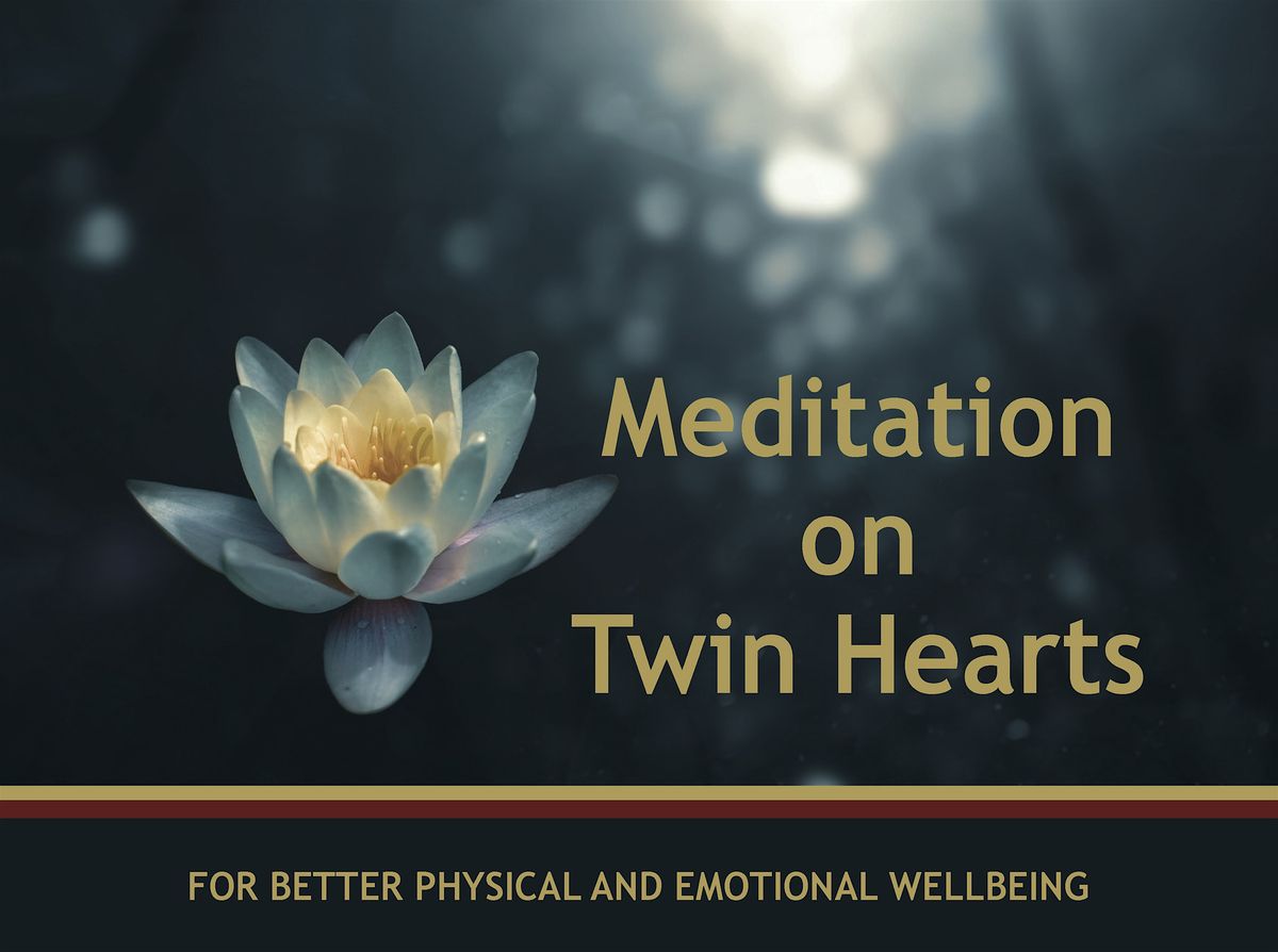 Twin Hearts Meditation in Bray