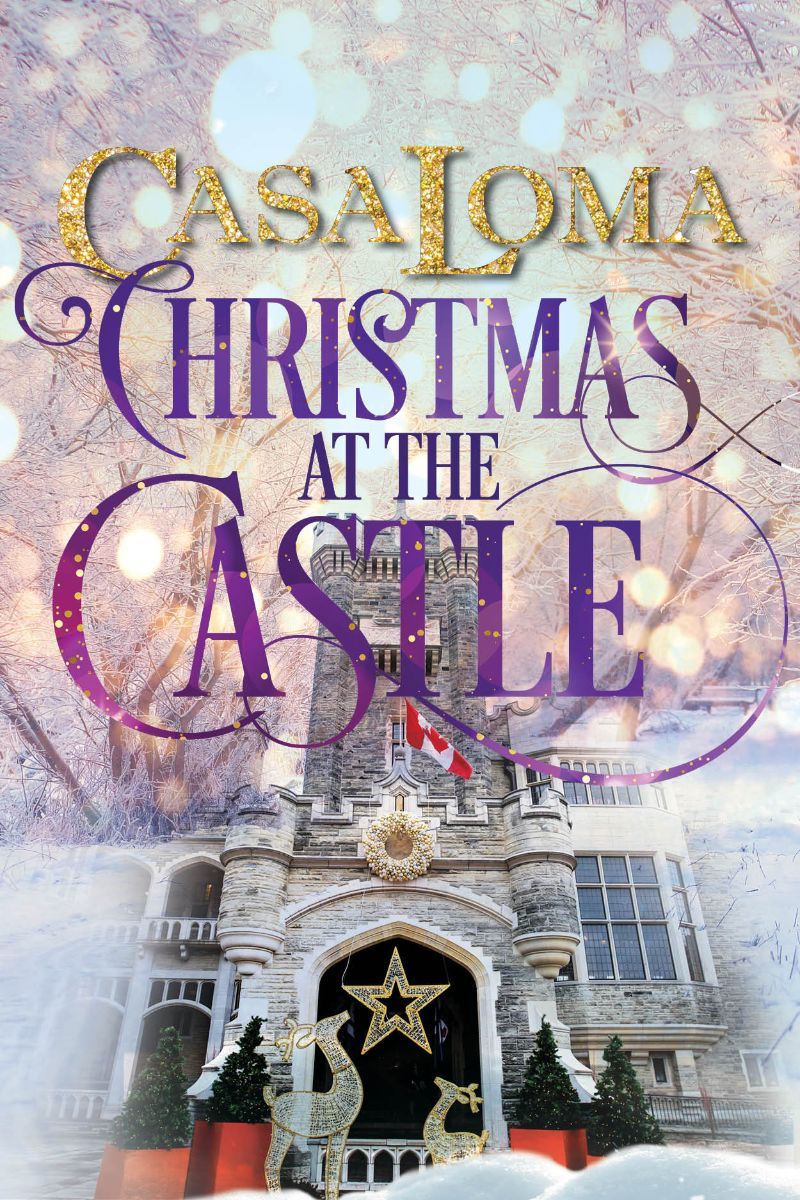 Christmas At The Castle