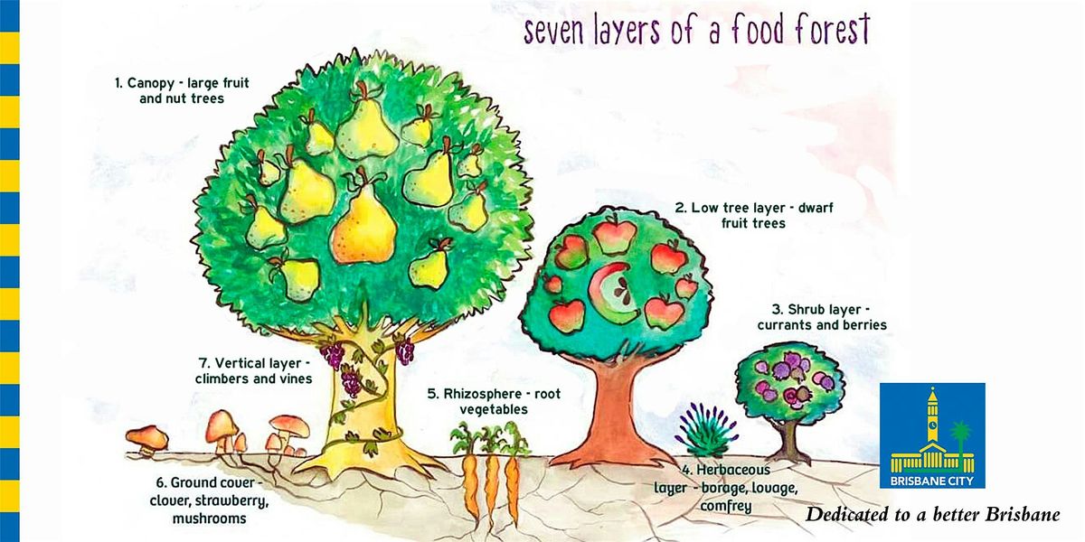 Create a Backyard Food Forest