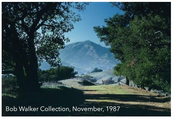 Explore Your Parks: Bob Walker Ridge