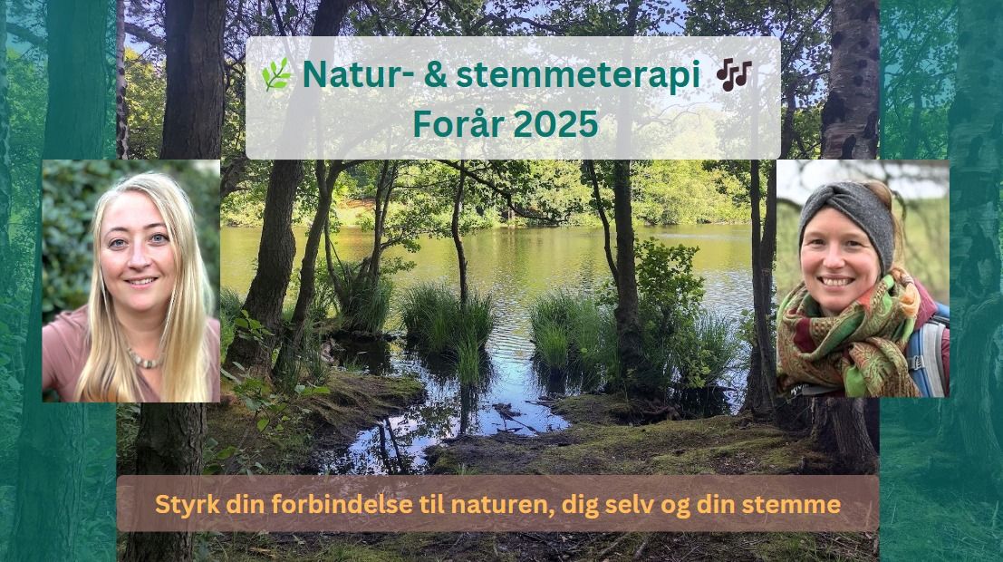 Natur- og stemmeterapi i skoven \u2013 Vol. 1+2+3 \ud83c\udf3f 