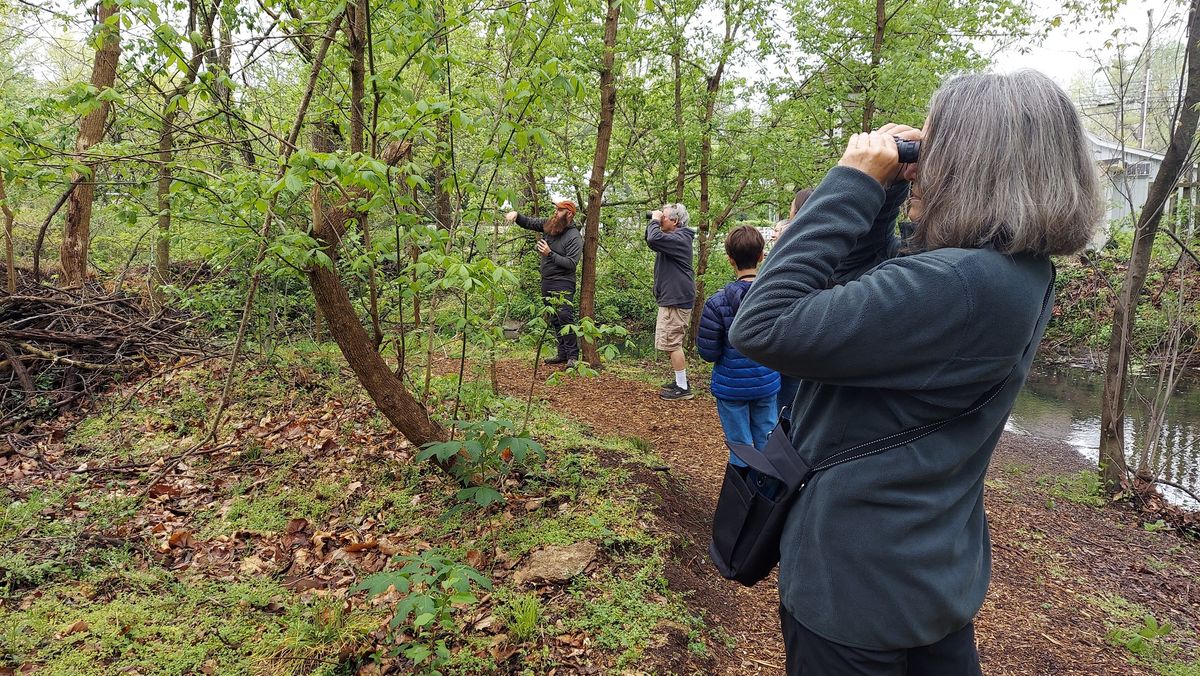 Bird Walk