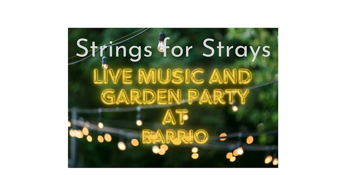 Strings for Strays