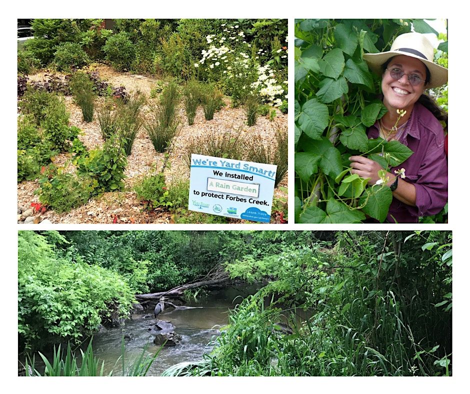 Rain Gardens and Native Landscaping 101